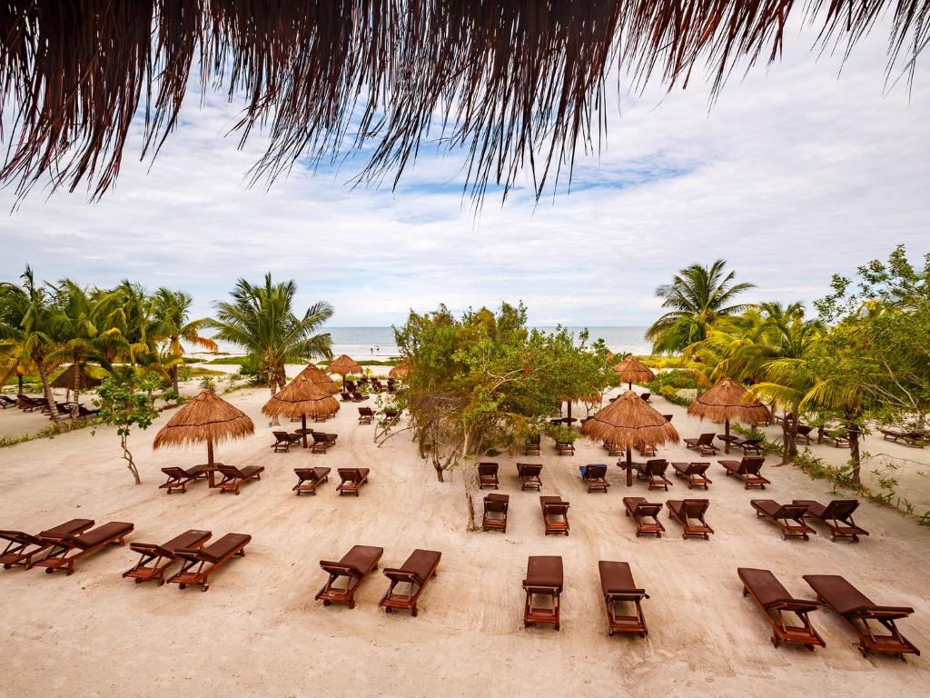 Best Hotels in Holbox Island